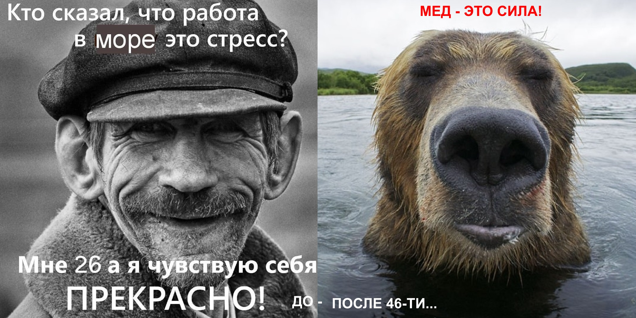 Кто сказал что будет. Кто сказал что работа это стресс. Кто сказал что море это стресс. Кто сказал что работа в море. Кто сказал что работа в море это стресс картинка.